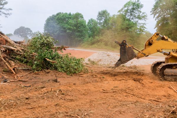 Cost of Forestry Mulching Service in Worcester