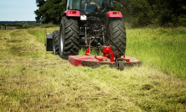 Brush Clearing Service in Worcester