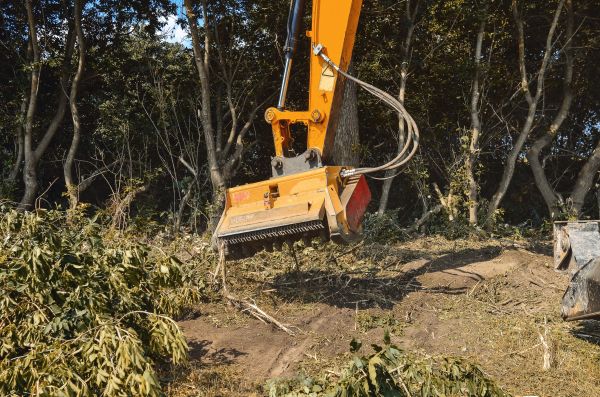 Brush Removal Service in Worcester