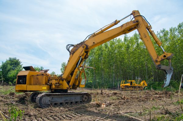 Farm Clearing in Worcester