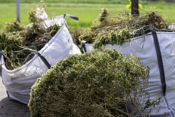 Cost of Bushes Clearing in Worcester
