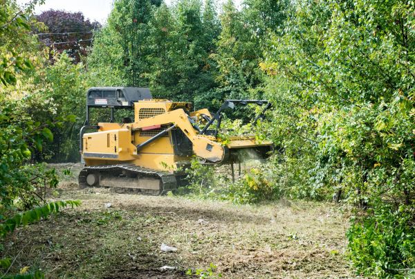 Pathway Clearing in Worcester