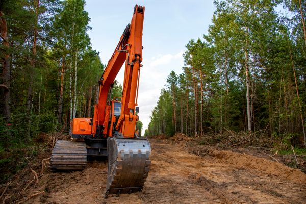 Backhoe Land Clearing in Worcester