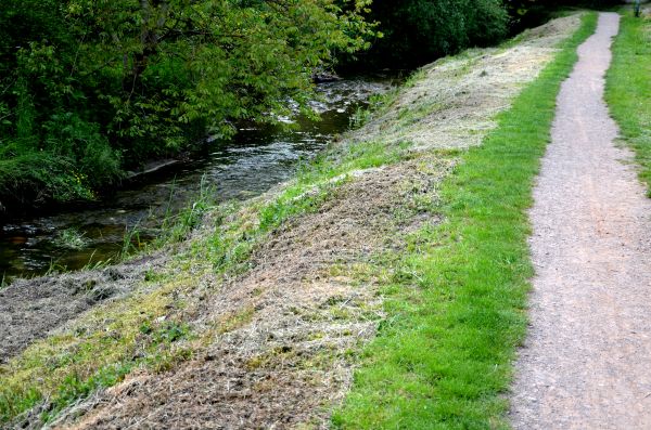 Trail Cutting in Worcester